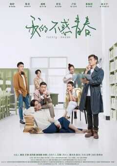 2020年国产大陆电视剧《我的不惑青春》全40 4K网盘迅雷下载