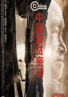 中国减贫密码