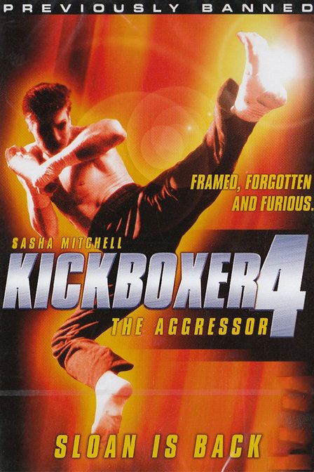 搏击之王4-入侵者