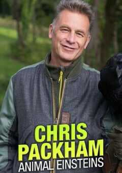 动物界的爱因斯坦