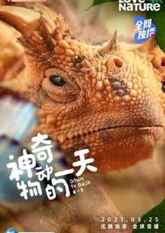 神奇动物的一天 第一季