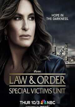 2024年美国电视剧《法律与秩序：特殊受害者 第二十六季》全22集 4K网盘迅雷下载