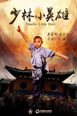 2018年国产电视剧《少林小英雄》 全第12集 4K网盘迅雷下载