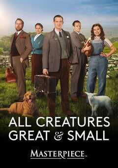 万物生灵：2020圣诞特别集