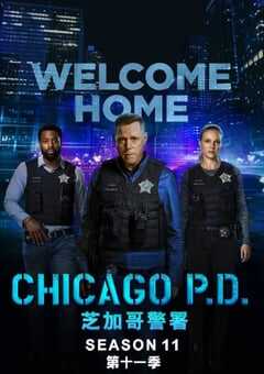 芝加哥警署 第十一季