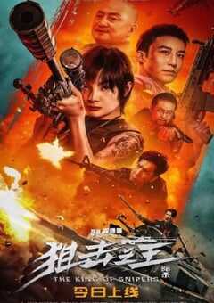 狙击之王：暗杀