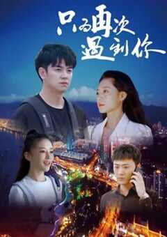 只为再次遇见你