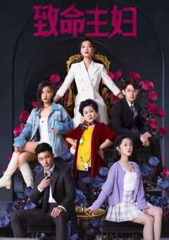致命主妇