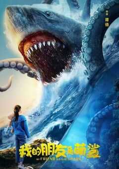 我的朋友是萌鲨