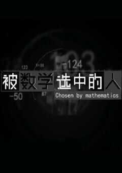 被数学选中的人