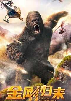 金刚归来