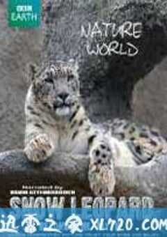 行星地球特别版:雪豹 (2006) 4K网盘迅雷下载