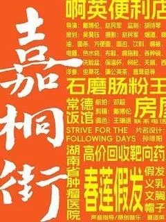 嘉桐街（暂名）