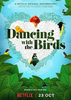 与鸟共舞