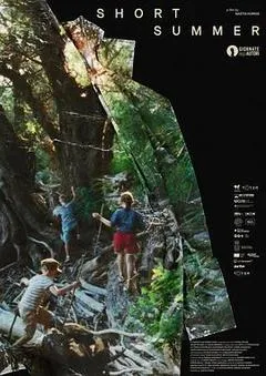 短暂的夏天