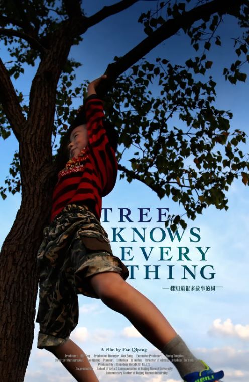 一棵知道很多故事的树