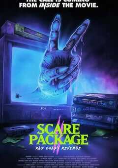 恐吓包裹2：火辣查德的复仇