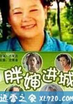 胖婶进城