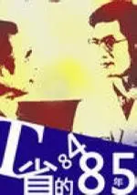 T省的八四、八五年