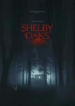 2024年美国惊悚片《寻踪迷镇》BD中英双字 4K网盘迅雷下载