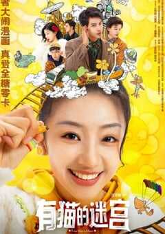 有猫的迷宫