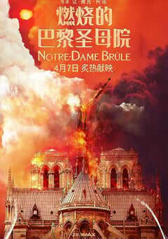 燃烧的巴黎圣母院