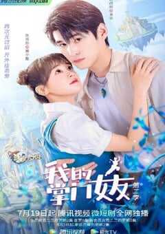 我的掌门女友 第二季