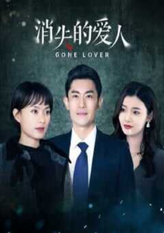消失的爱人2025