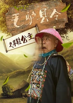 毛驴县令之草鞋公主