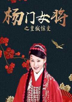 杨门女将之皇城惊变