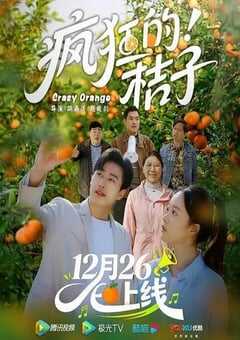 疯狂的桔子