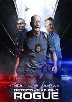 警探奈特：侠盗