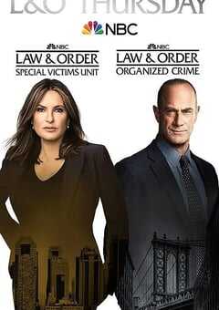法律与秩序：特殊受害者 第二十三季