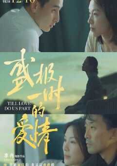 盛极一时的爱情2020