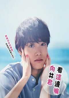 往这边看 向井君