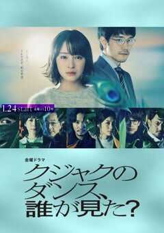 谁看见了孔雀在跳舞