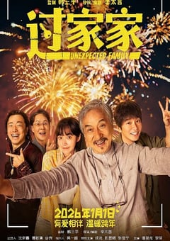 2026年国产6.6分剧情片《过家家》HD国语中英双字 4K网盘迅雷下载