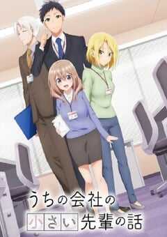 公司里的小小前辈