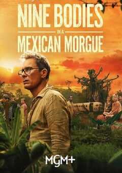 墨西哥太平间的九具尸体