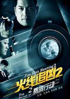 火线追凶2之鹈鹕行动