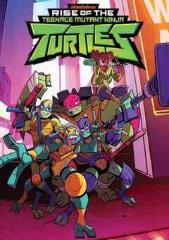 忍者神龟：崛起