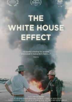 白宫效应