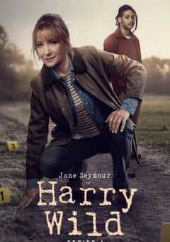 野探哈莉 第四季