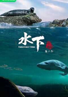 水下中国 第二季