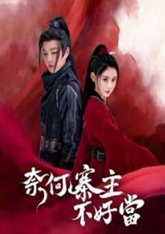 奈何寨主不好当