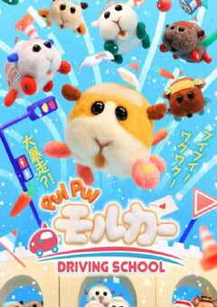 天竺鼠车车 学车篇