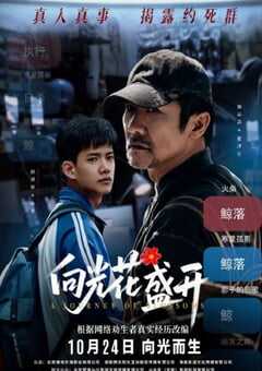 2025年国产剧情《向光花盛开》HD国语中字 4K网盘迅雷下载