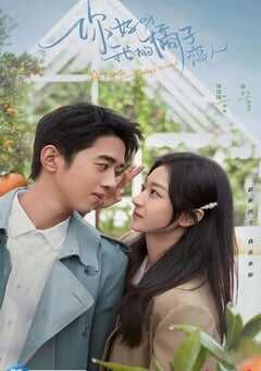 你好呀,我的橘子恋人