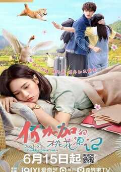 何加加的桃花源记