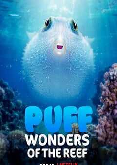 河豚之家：神奇的珊瑚礁